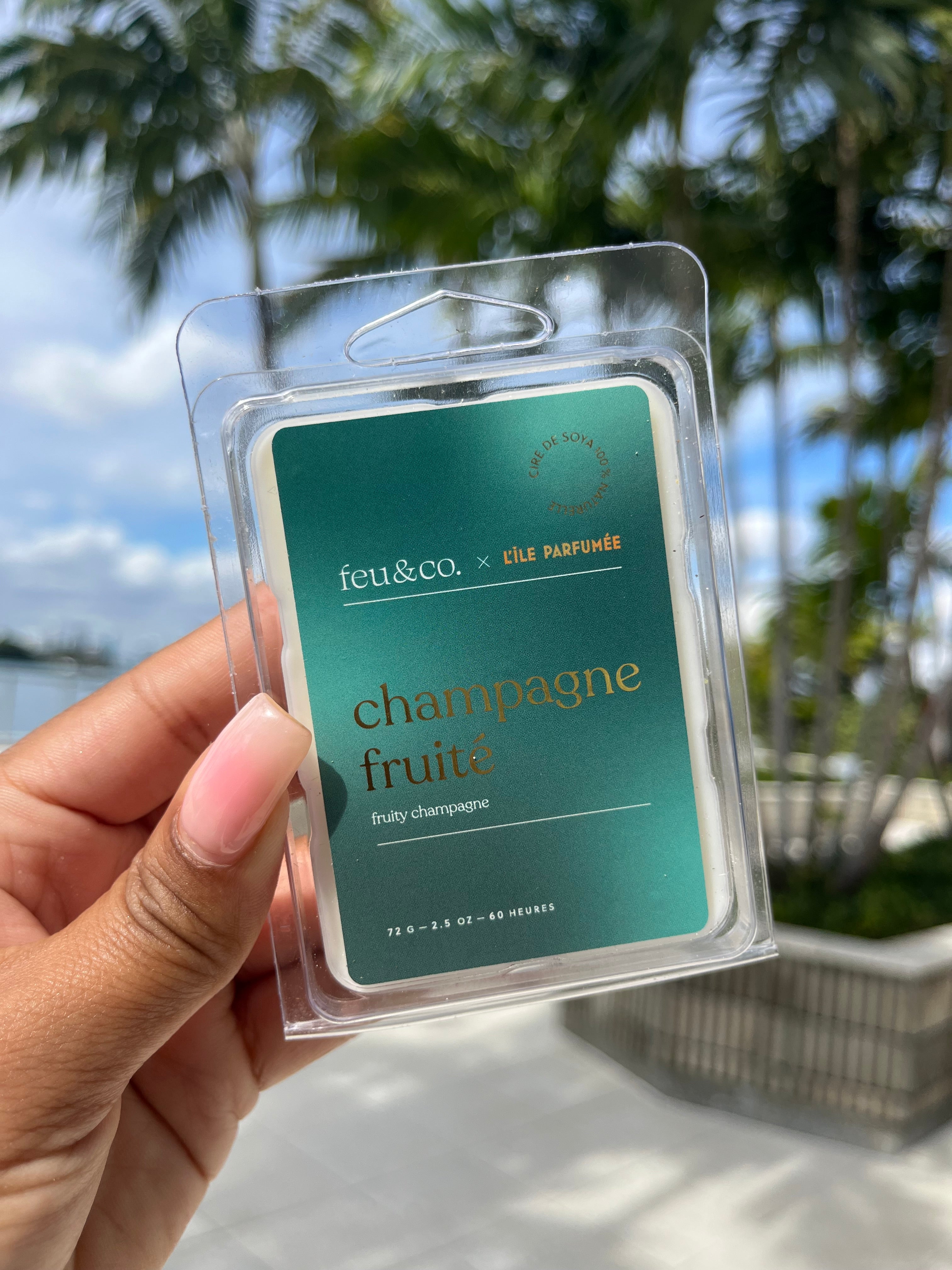 Wax Cubes - Fruity Champagne