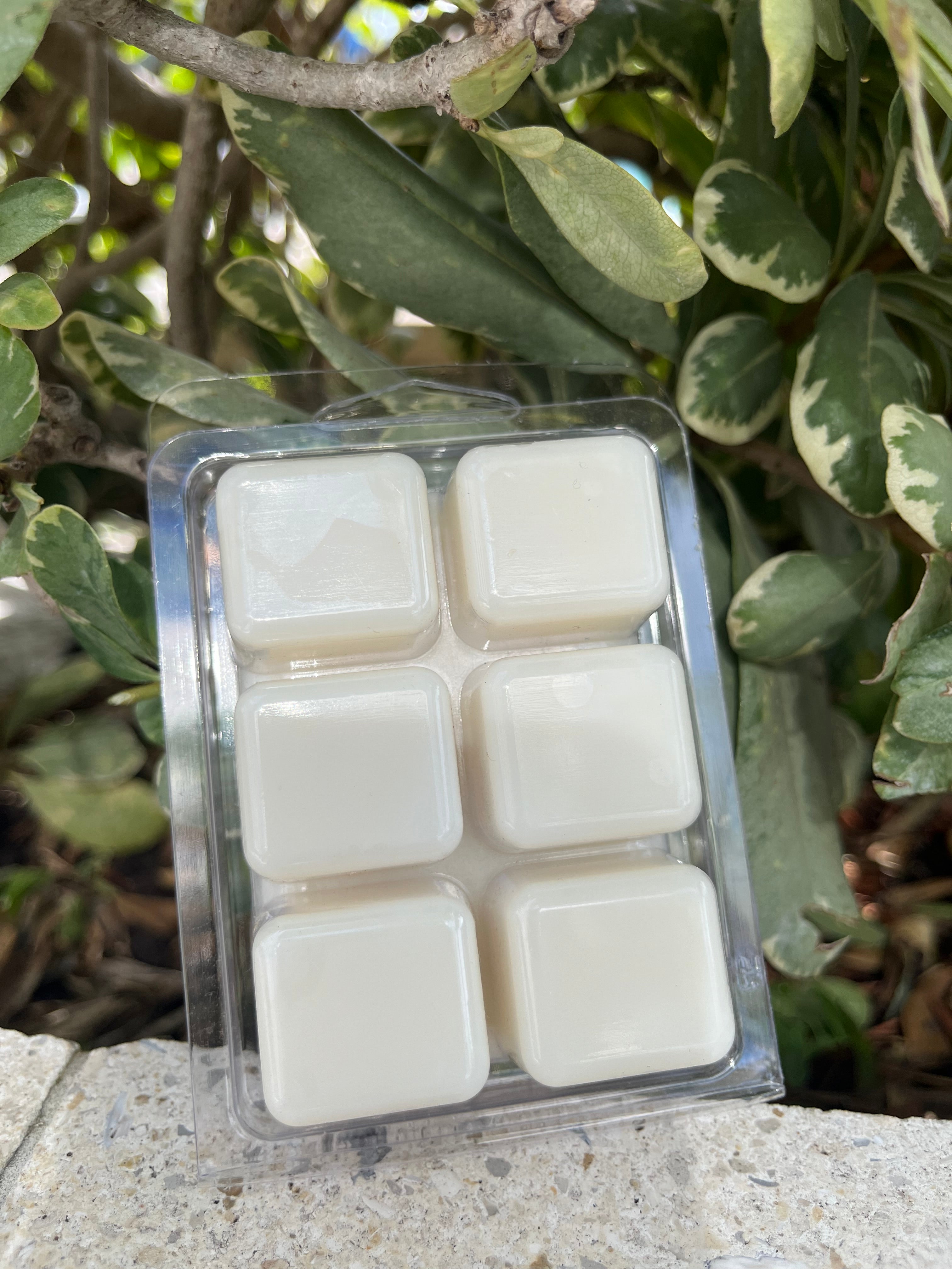 Wax Cubes - Fruity Champagne