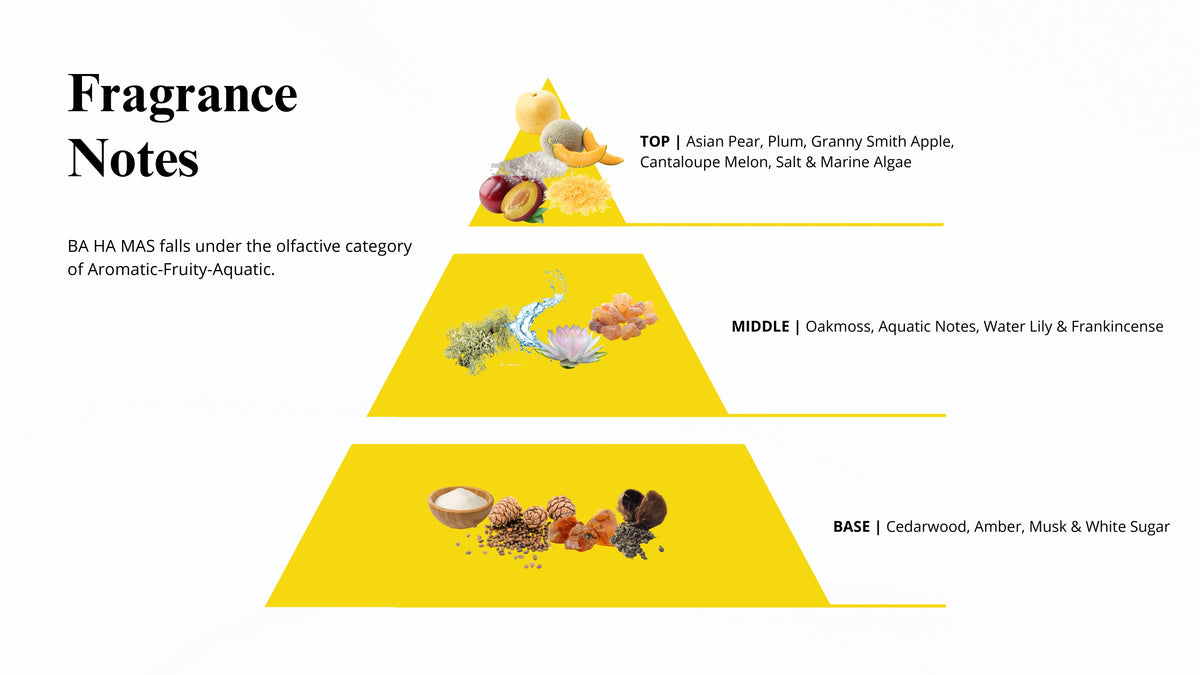 Odyssey_FAB_-_BA_HA_MAS_page-